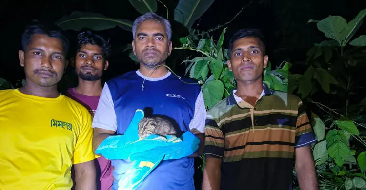 গ্রামবাসীর উদারতায় মায়ের কোলে ফিরলো মেছোবিড়ালের দুই শাবক
