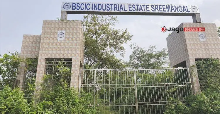 ৫০ কোটি টাকার বিসিক এস্টেট এখন যেন ‘জঙ্গল’