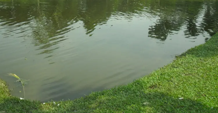 মাছ ধরতে গিয়ে নদীতে ডুবে দুই শিশুর মৃত্যু