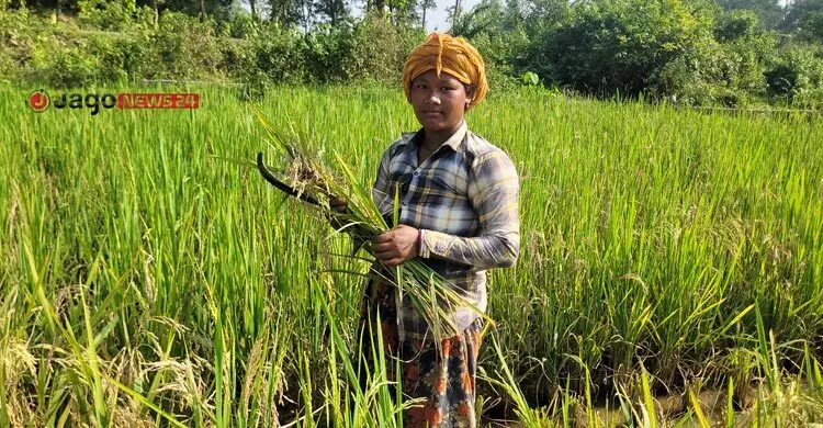 সনতনী পেশাতেই আটকে আছে নৃ-গোষ্ঠীরা