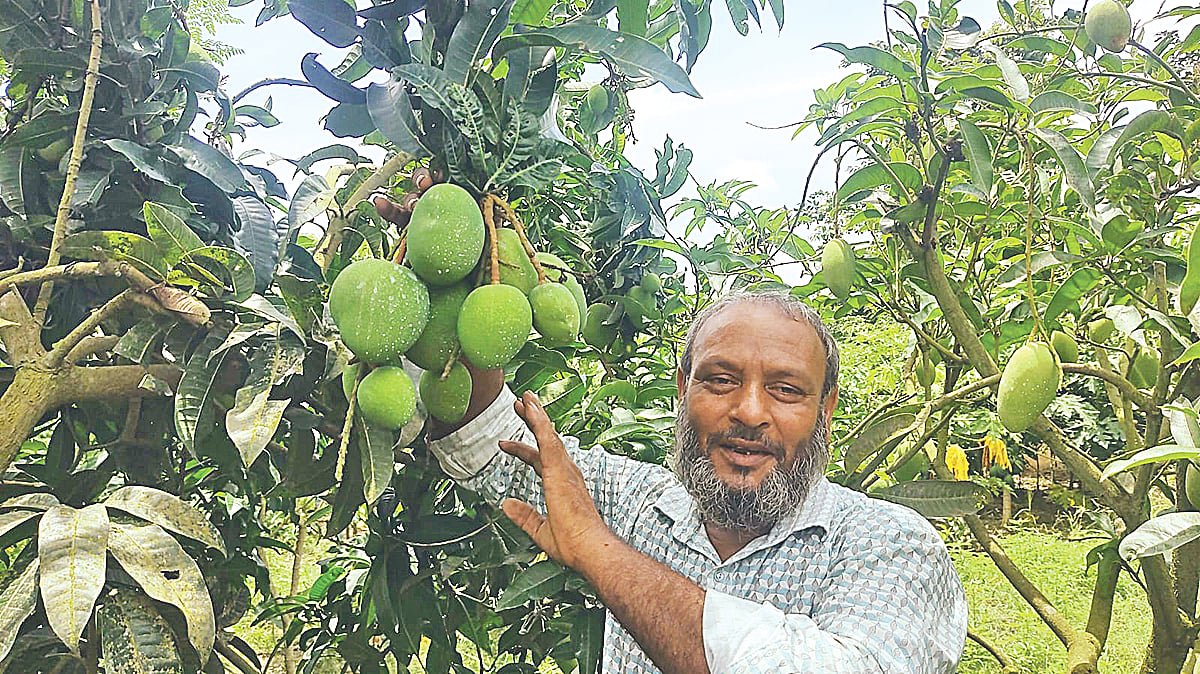 ভরসার নাম কল্যাণভোগ