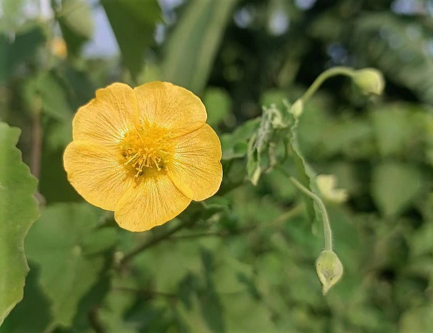 একঝলক (১ আগস্ট ২০২৬)