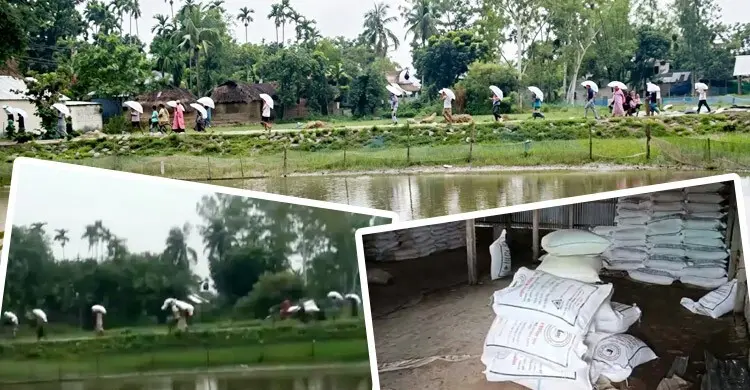 সার না পেয়ে গুদাম লুট, বাস্তবে সংকট কতটা?