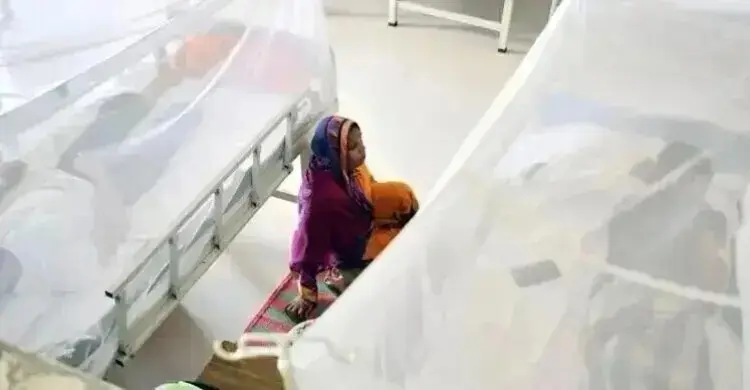 ডেঙ্গুতে আরও ৪ মৃত্যু, হাসপাতালে চিকিৎসাধীন ২৯৫৪