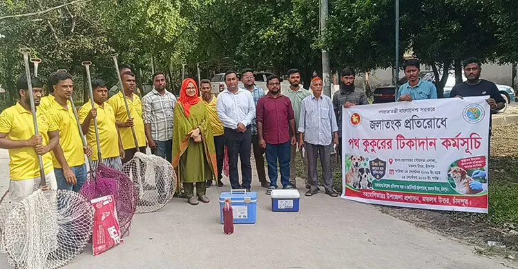 চাঁদপুরে ৩ শতাধিক পথ কুকুরকে দেওয়া হবে জলাতঙ্ক টিকা