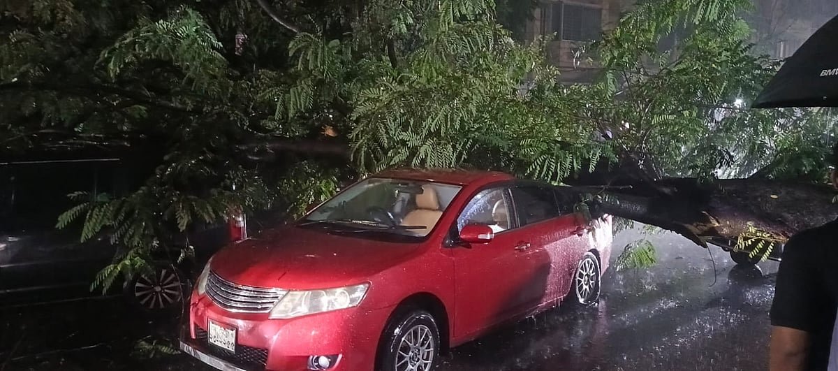 বৃষ্টিতে ধানমন্ডির সড়কে উপড়ে পড়ল গাছ, তিনটি গাড়ি ক্ষতিগ্রস্ত