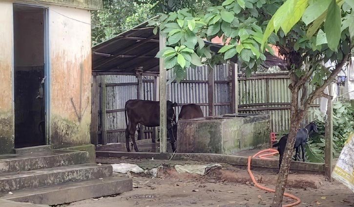 তিতাস গ্যাসের অধিগ্রহণকৃত জমিতে স্থাপনা নির্মাণের অভিযোগ