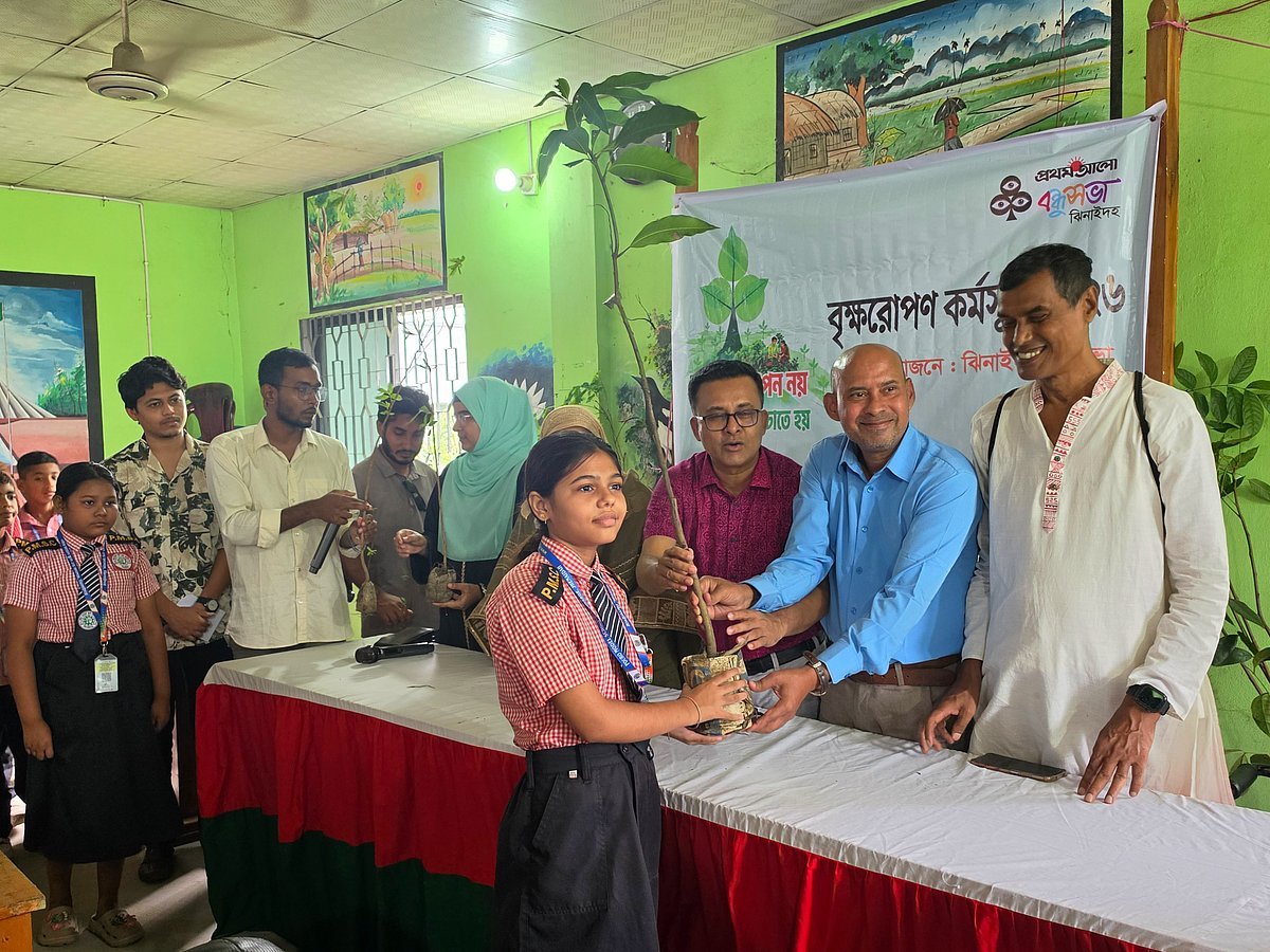 প্রতিটি গাছের নিয়মিত পরিচর্যা ও যত্ন নিতে হবে