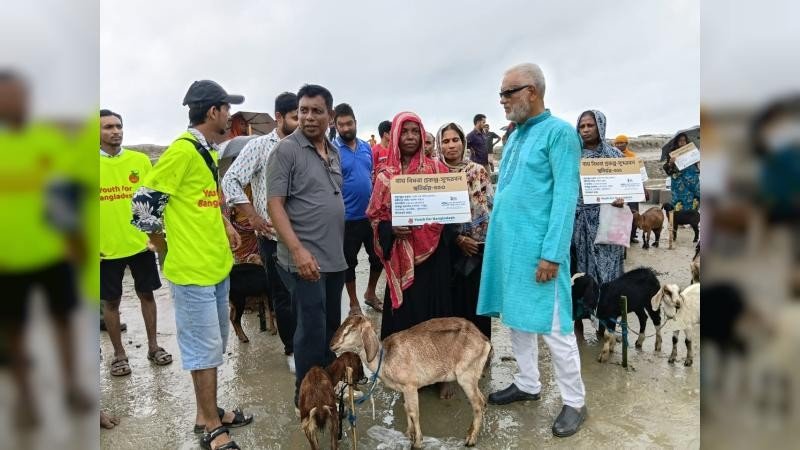 ইয়ুথ ফর বাংলাদেশের উদ্যোগে উপকূলের ৩১ বাঘ বিধবা পরিবার পেল ছাগল
