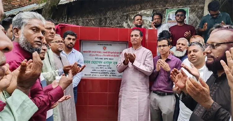 ১৭ বছর উন্নয়নের নামে লুটপাট হয়েছে: এনামুল হক