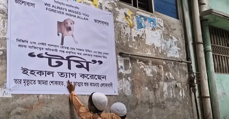 টমি নেই,পুরান ঢাকার গলিতে এক কুকুরের জন্য শোক