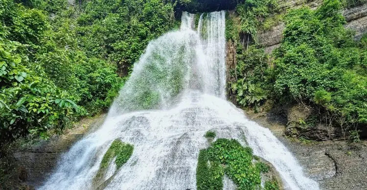 অপরূপ সৌন্দর্যের আরেক নাম নাপিত্তাছড়া ঝরনা