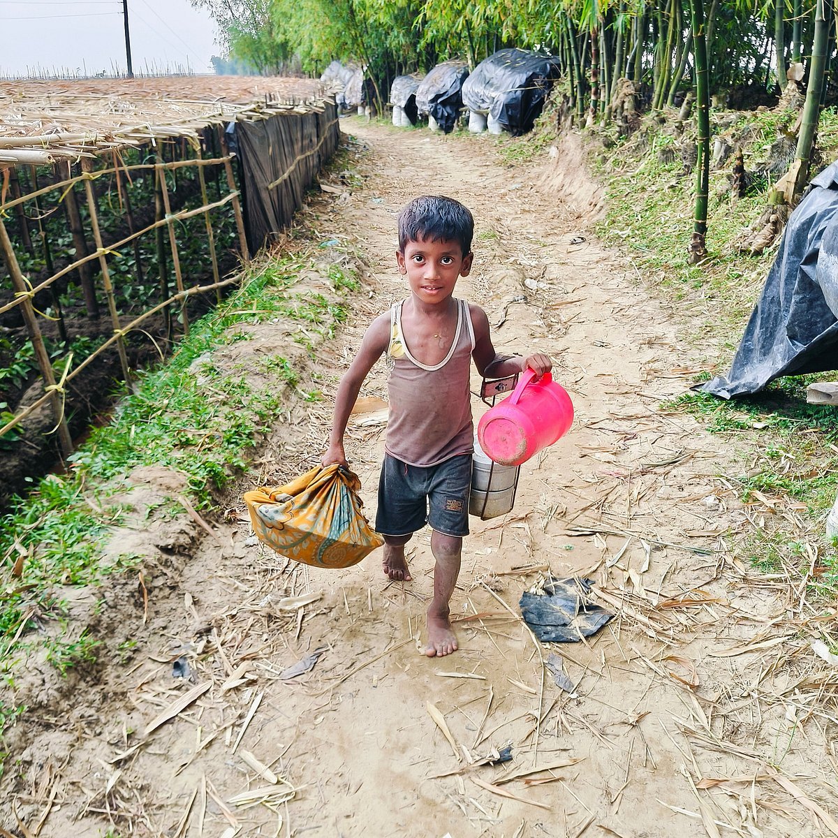 পাঠকের ছবি (১৬ সেপ্টেম্বর ২০২৬)