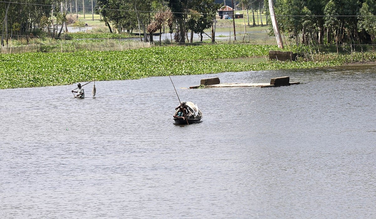 যমুনার তাজা মাছ তীরেই বেচাকেনা
