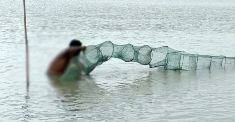 অবৈধ জাল-বৈদ্যুতিক শকে কমছে দেশীয় মাছ