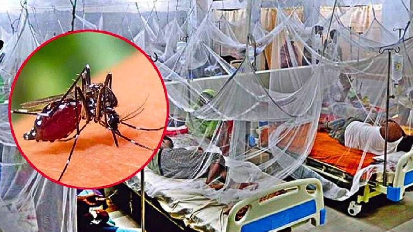সারাদেশে বাড়ছে ডেঙ্গুর প্রকোপ, হাসপাতালে রোগীর চাপ