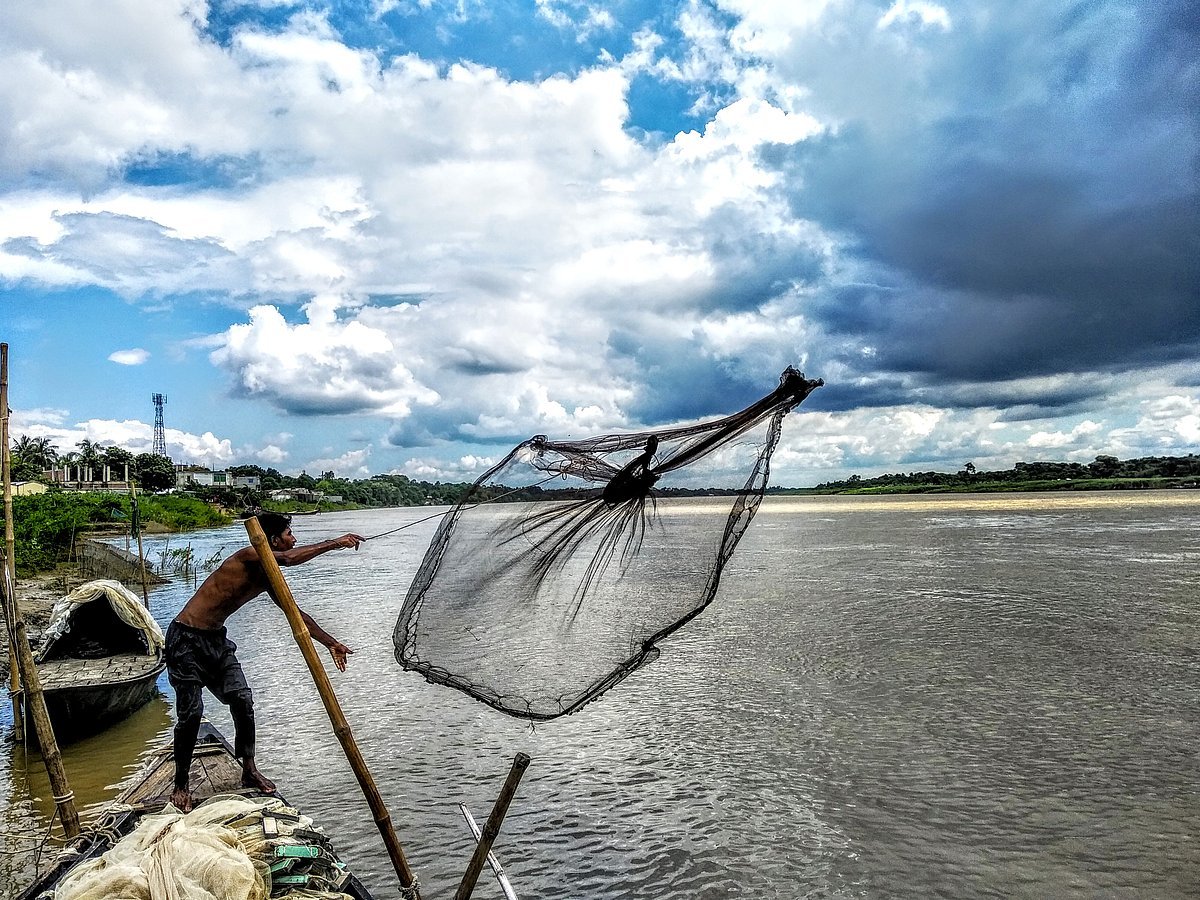পাঠকের ছবি (৩১ জুলাই ২০২৬)