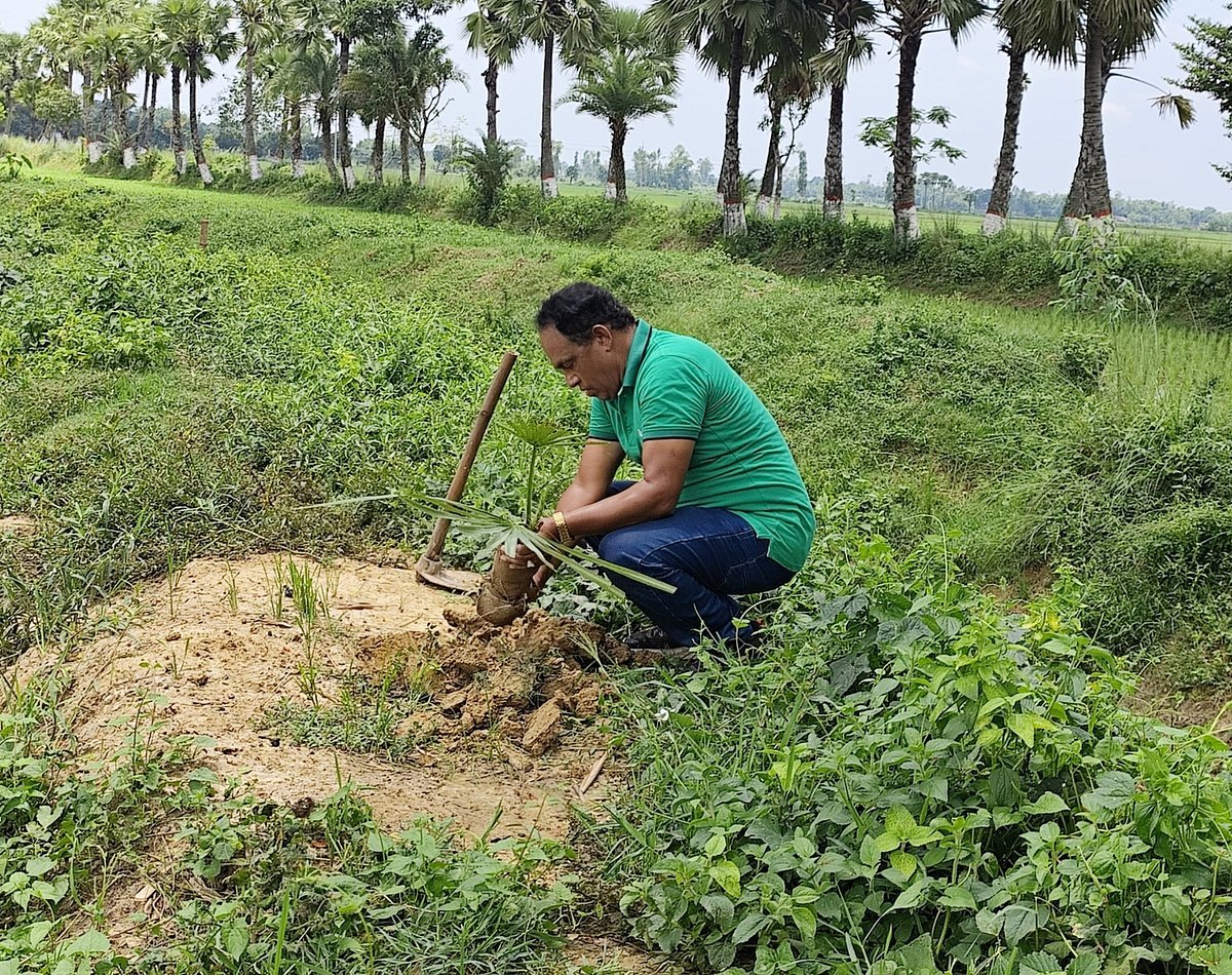আরিফ স্যারের কাছে ‘গাছ লাগানো সামাজিক দায়বদ্ধতা’